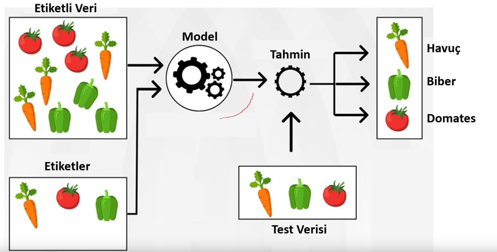 makine öğrenmesi nedir